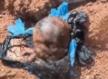 Alta Floresta: Cabeça humana é encontrada dentro de sacola 