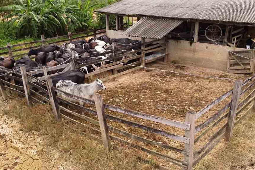 Divulgada décima oitava edição do Boletim Agrometeorológico