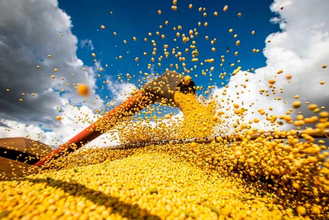 Ipea revisa de 13,2% para 15,5% o crescimento do PIB agro em 2023
