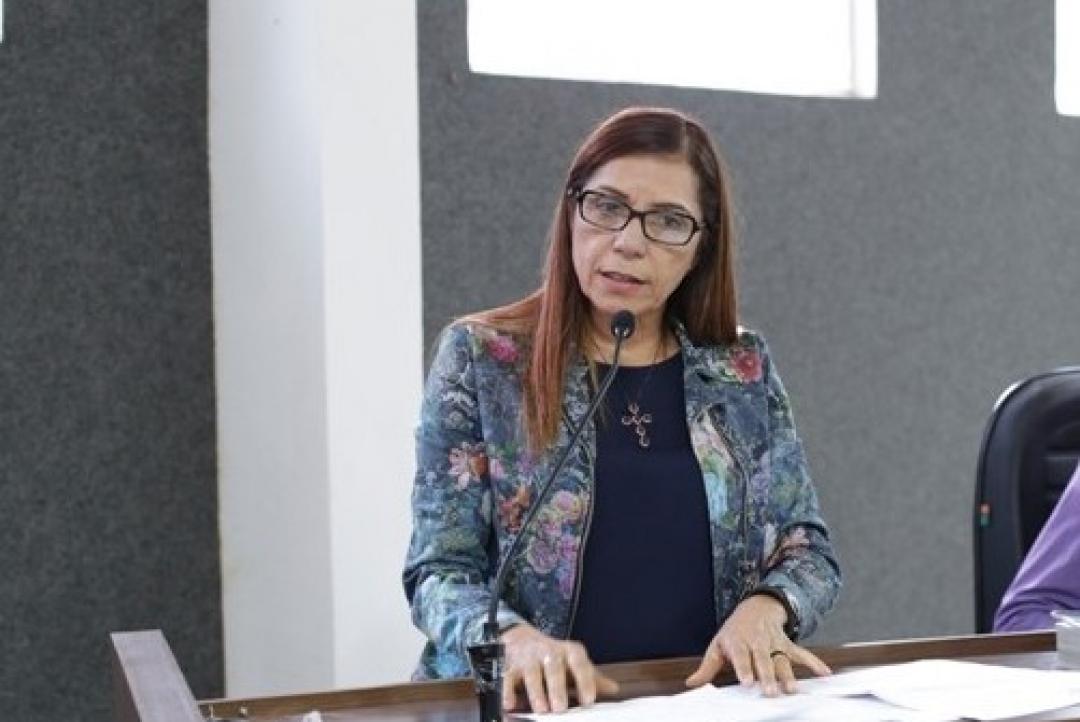 Vereadora Elisa Gomes destaca ações nos setores de infraestrutura e segurança de trânsito em Sessão Ordinária