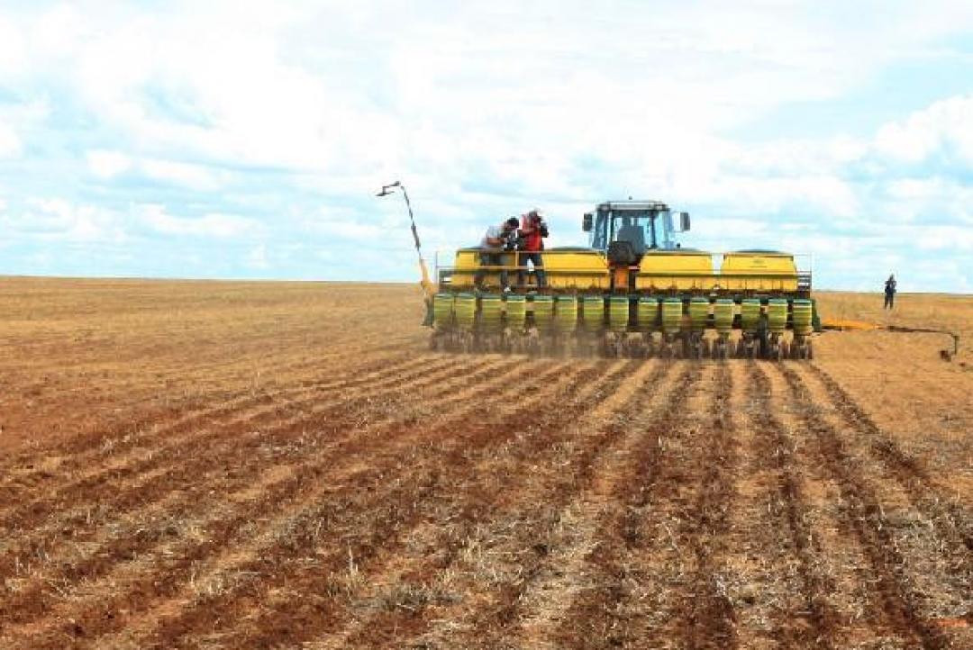 Indea prorroga prazo de cadastramento obrigatório de área cultivada de soja