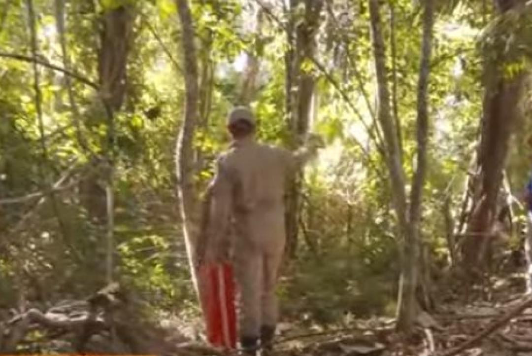 Bombeiros fazem buscas em Alta Floresta com drone e cães farejadores