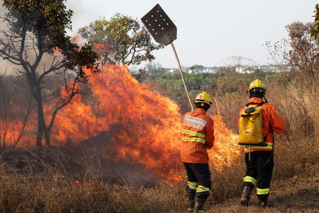 Começa o período proibitivo de queimadas em MT