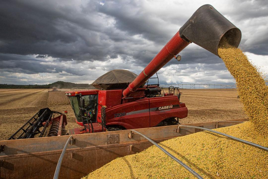 Mato Grosso lidera saldo da balança comercial brasileira no primeiro semestre de 2025