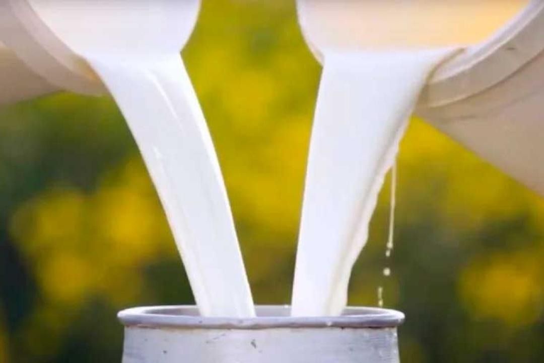 Lula assina decreto com medida tributária para cadeia de leite