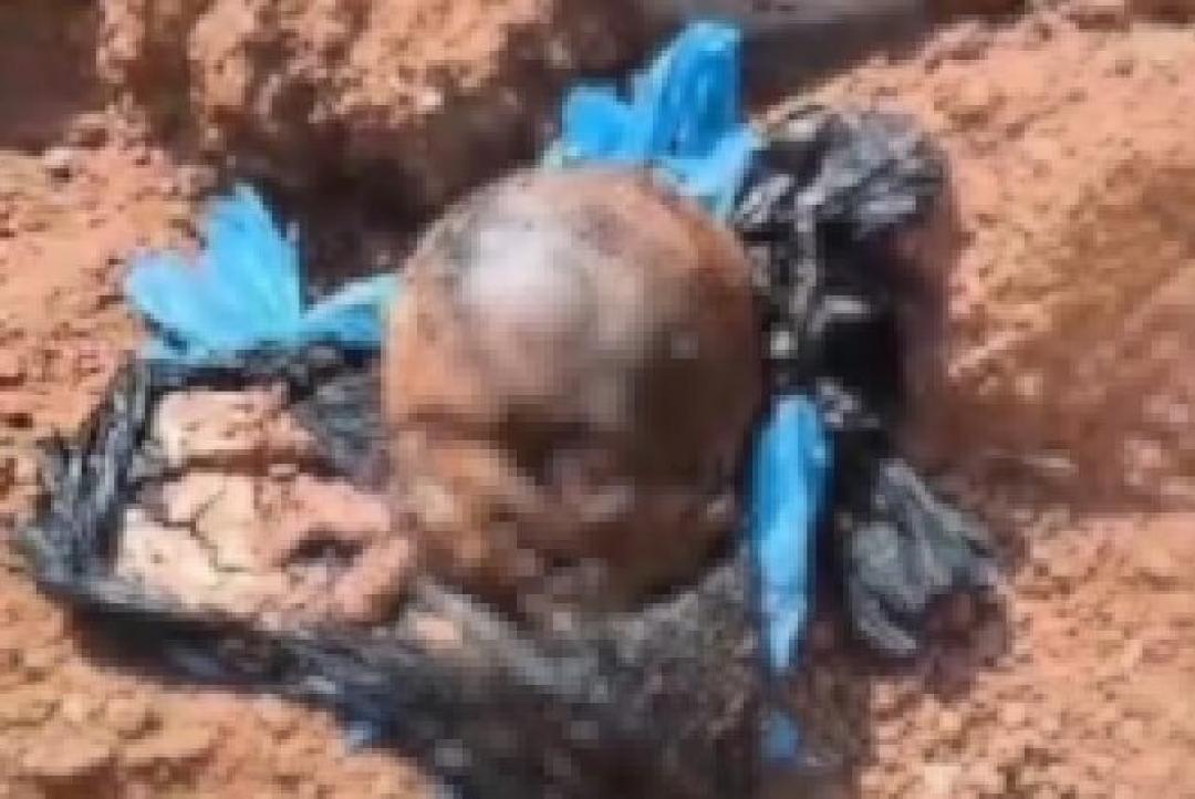 Alta Floresta: Cabeça humana é encontrada dentro de sacola 