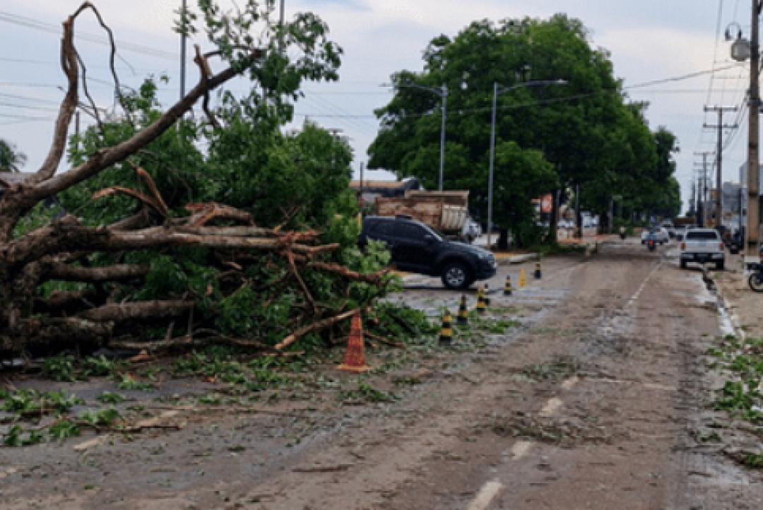 Temporal causa estragos em Juara: saída para Alta Floresta fica comprometida  