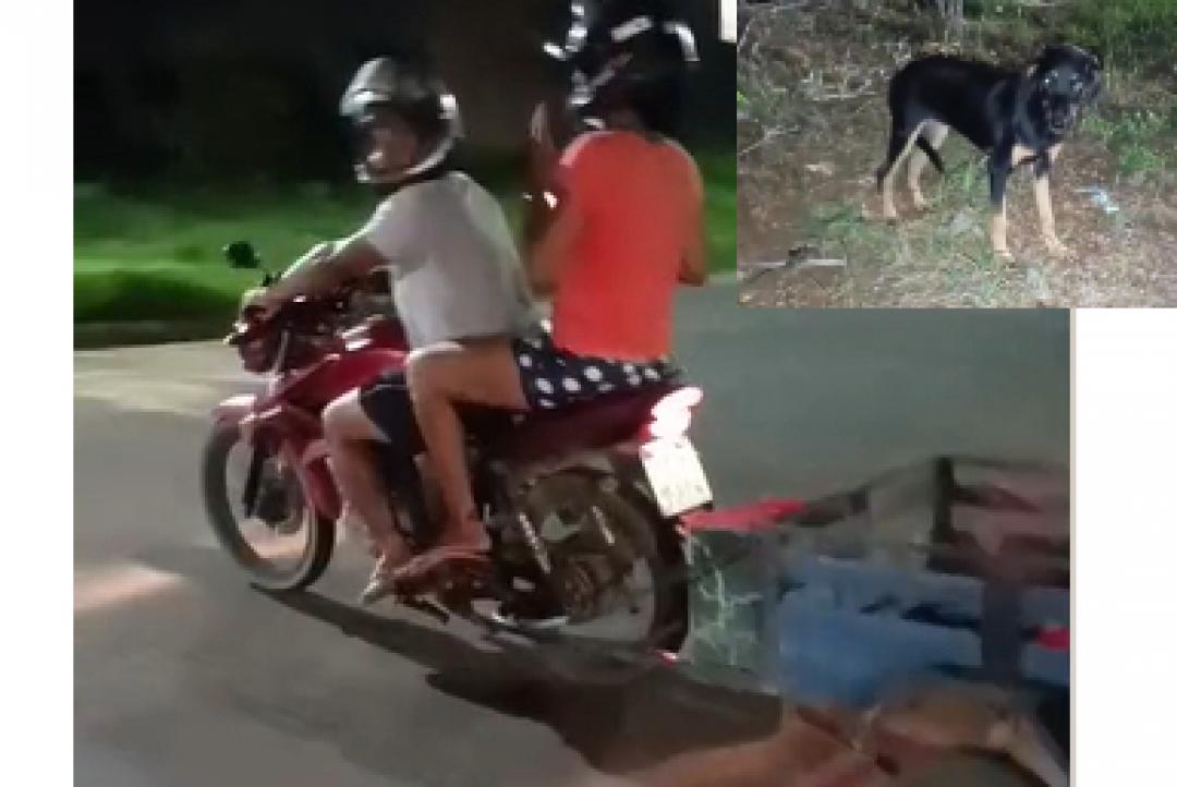 Casal é flagrado abandonando cão em Alta Floresta (VEJA O VÍDEO)