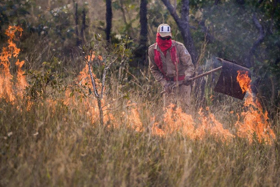Mato Grosso registra queda de mais de 80% nos focos de calor