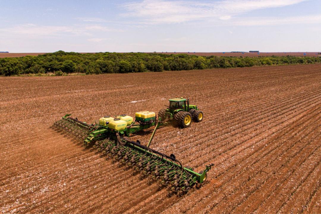 Plantio da soja avança e já cobre 45% das áreas previstas em Mato Grosso  