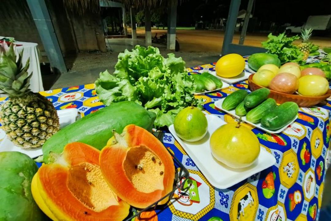 Programa fortalece empreendedorismo rural e impulsiona produção em Paranaíta e Colíder