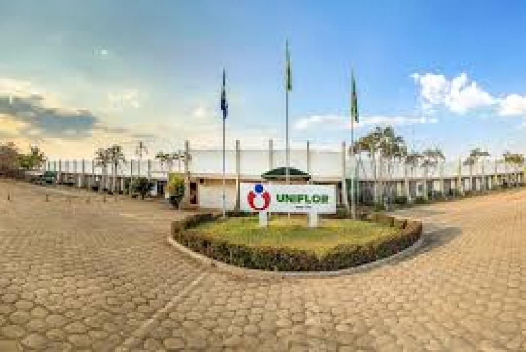 MEC autoriza curso de Medicina Veterinária em Alta Floresta com 45 vagas anuais