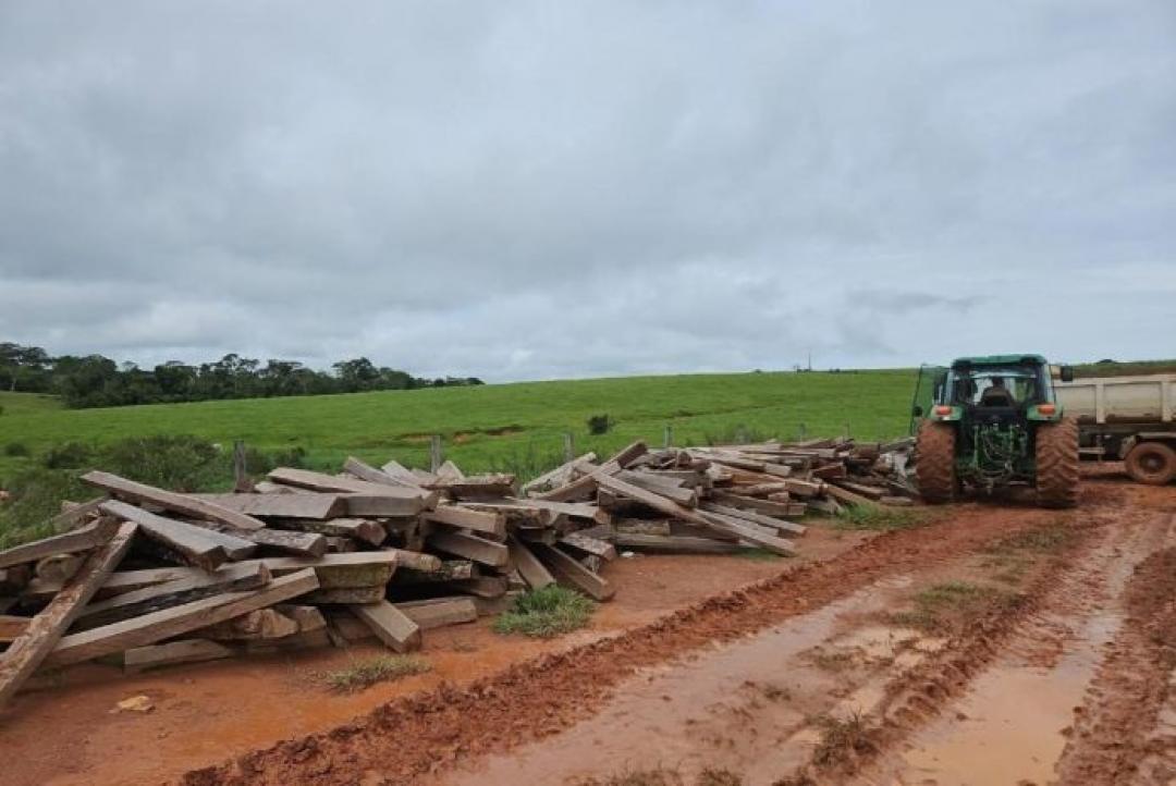 Sema apreende mais de 1,5 mil lascas de itaúba em propriedade rural de Nova Monte Verde