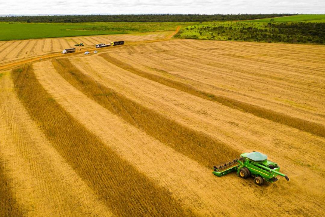 Mato Grosso bate novo recorde na produção de soja e mantém liderança nacional pela 26ª safra consecutiva