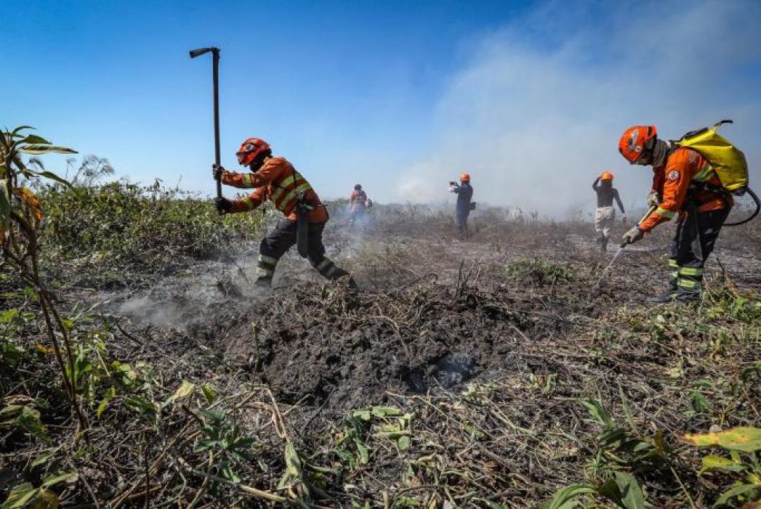 Governo de Mato Grosso lança nesta segunda-feira plano estadual de combate ao desmatamento ilegal e incêndios florestais