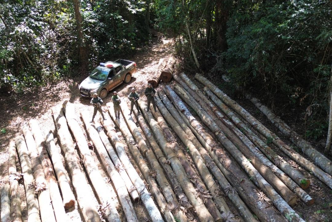 Polícia Militar Ambiental aplica mais de R$ 7,2 milhões em multas por desmate ilegal em União do Sul