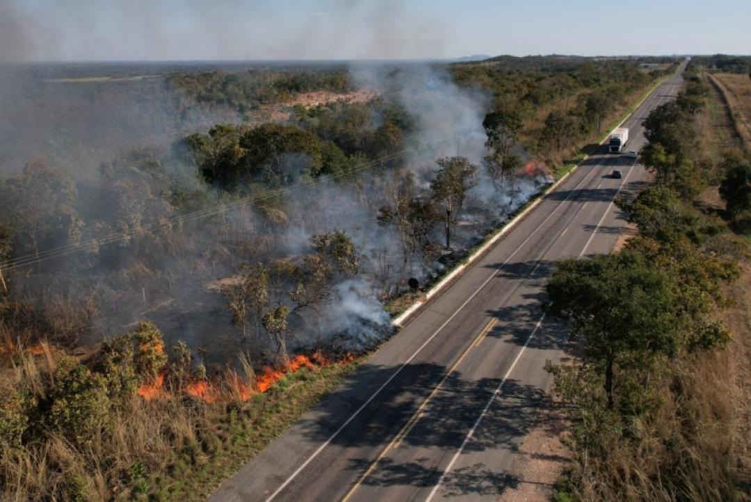 Baixa umidade e calor intenso marcam fase crítica no campo