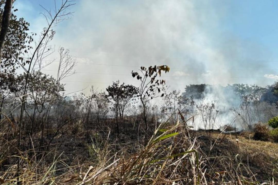 Homem é detido após fogo provocado durante queima de pneus atingir vegetação às margens da MT-320
