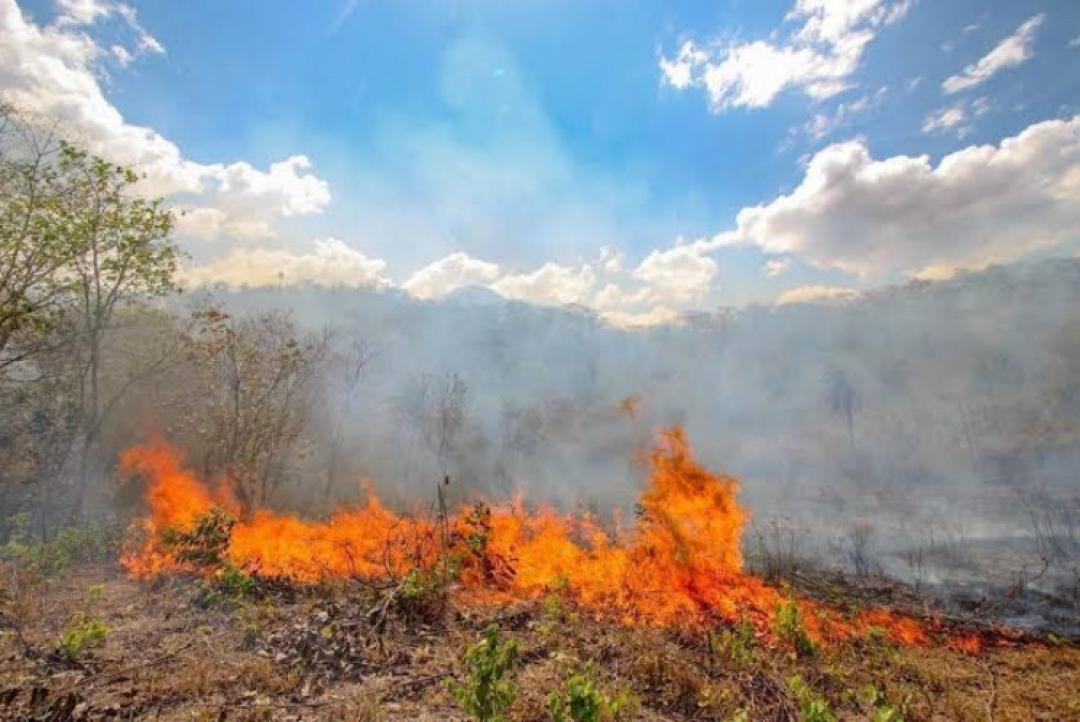 Brigada combate incêndio em vegetação que ameaçava residência em Alta Floresta
