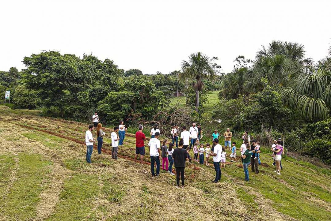 Restaurakids: Uma estratégia de educação ambiental para crianças
