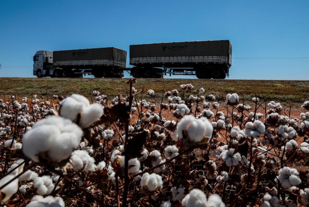 Exportações de MT alcançam 157 países e geram US$ 25,95 bilhões de dólares em 2024