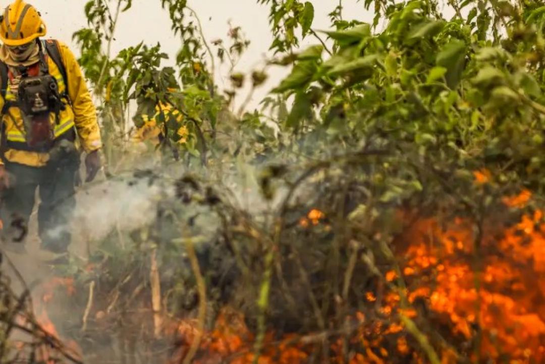 Brasil tem 1 milhão de focos de queimada registrados em 5 anos