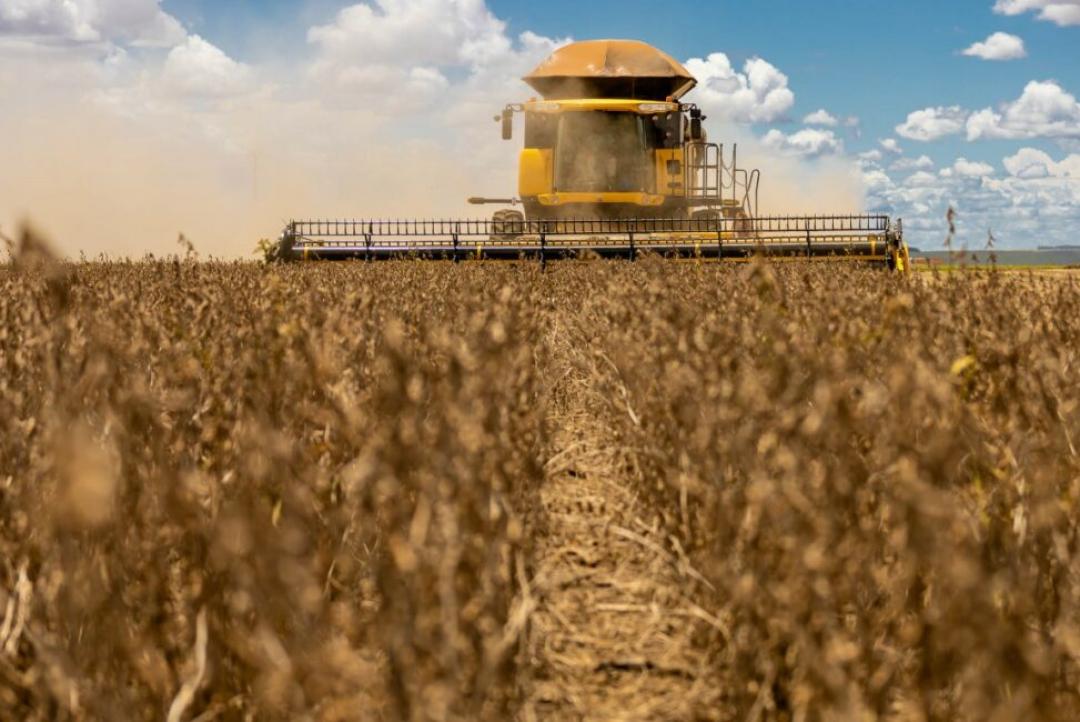 Mato Grosso deve registrar 2º maior PIB do país com destaque para agropecuária
