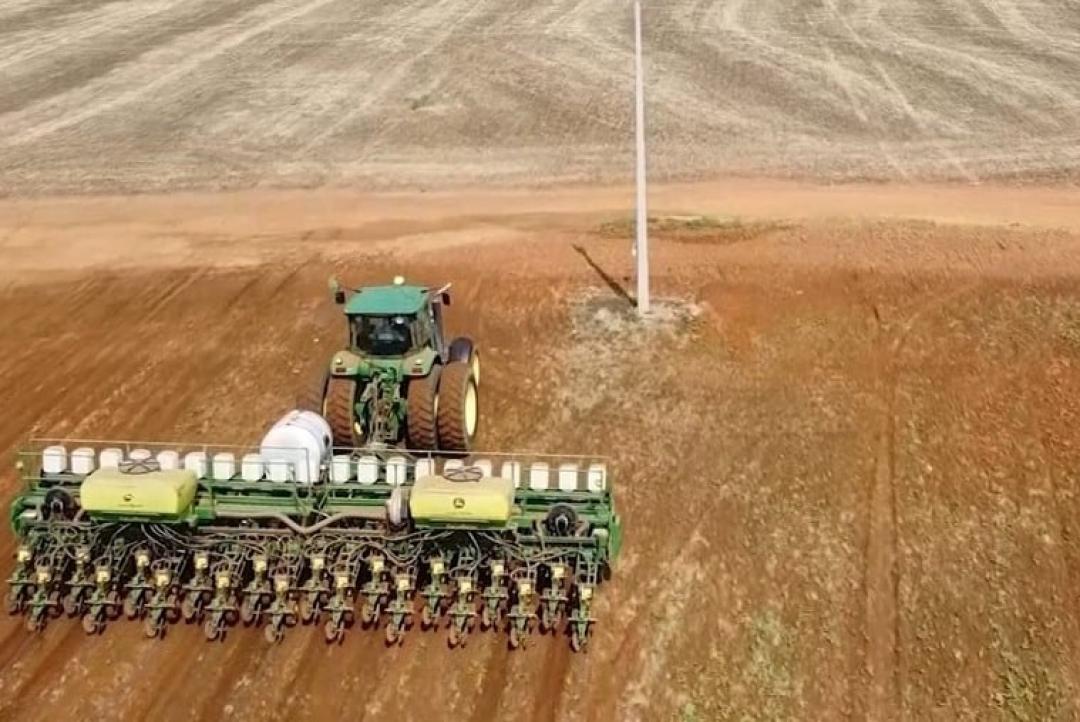 Semeadura de soja em MT chega a 1,82% da área; clima preocupa