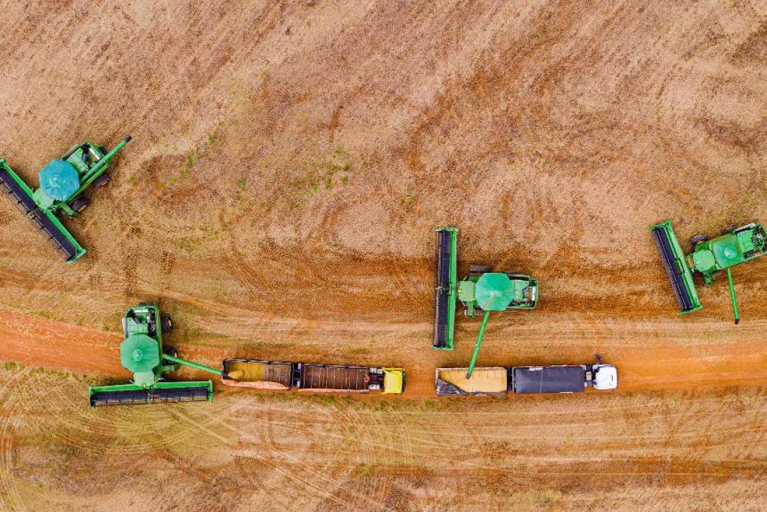 Mato Grosso terá forte aceleração econômica em 2025