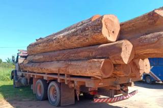 Madeira ilegal apreendida em Alta Floresta foi furtada de Fazenda no Pará